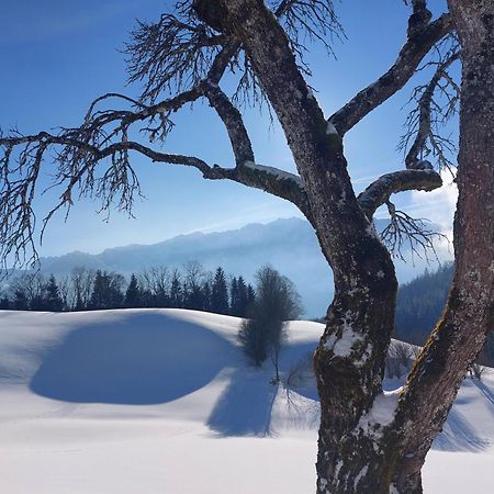 Bergapart Goetschl Rettenschoess Esterno foto