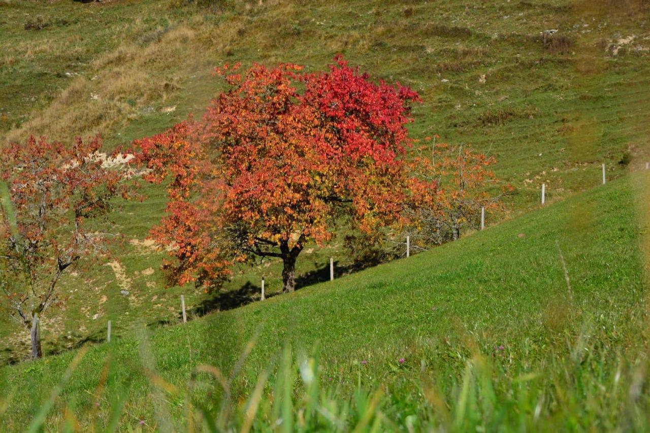 Bergapart Goetschl Rettenschoess Esterno foto